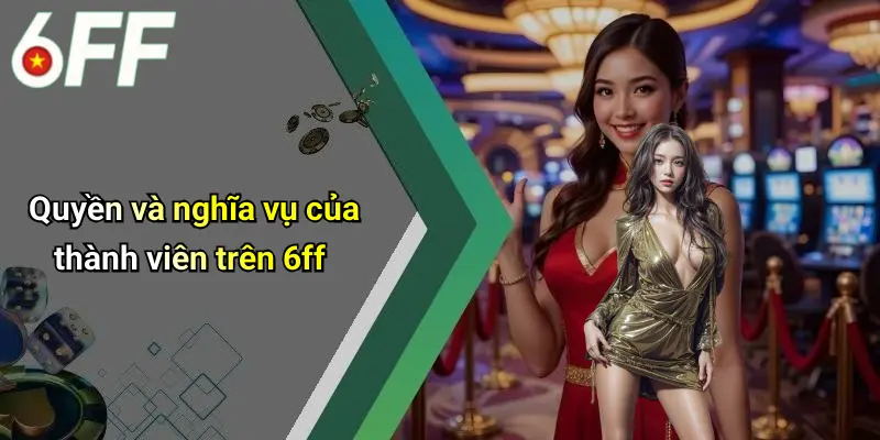 Điều Khoản Và Điều Kiện 4 Quyền và nghĩa vụ của thành viên trên 6ff